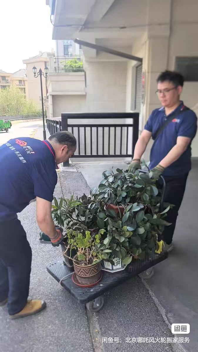 文章插图