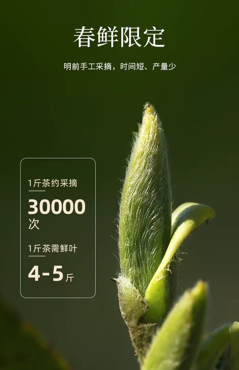 文章插图